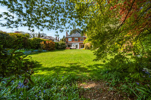 REAR GARDEN- click for photo gallery